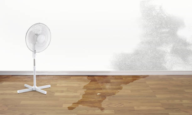 Best Emergency water damage restoration  in Fredericksburg, VA